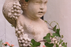 Ivy The Statue