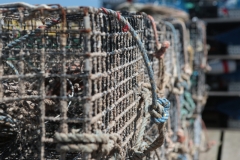 Maine Lobster Trap